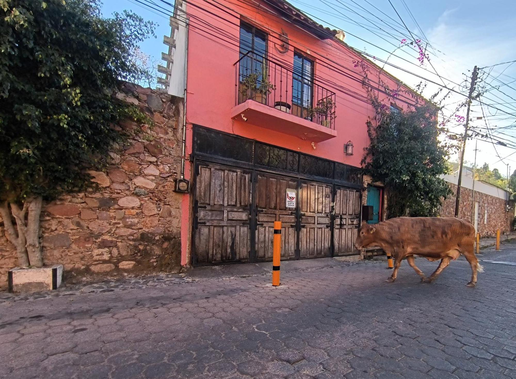 El Refugio De San Matias Aparthotel Guanajuato Ngoại thất bức ảnh